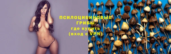 трава Абинск