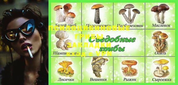 скорость Семёнов