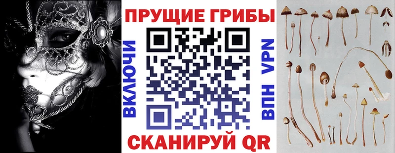 Псилоцибиновые грибы мицелий  Зерноград 