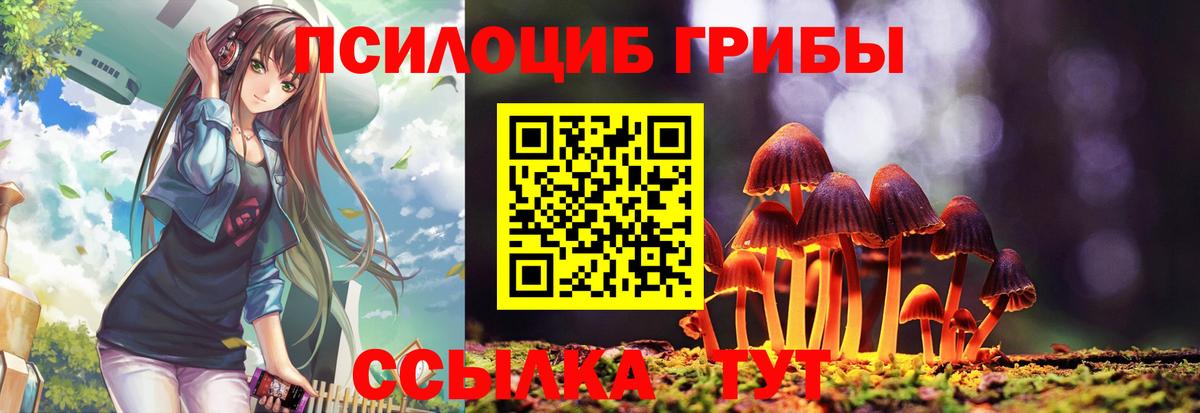 Псилоцибиновые грибы прущие грибы  Вход с VPN  Галлюциногенные грибы Cubensis  Зерноград 