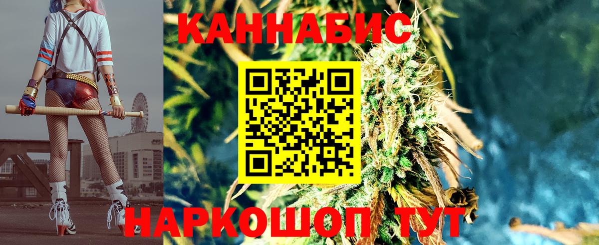Шишки марихуана планчик  МАРИХУАНА White Widow  Каннабис индика  Зерноград  Вход с VPN  Шишки марихуана Bruce Banner 